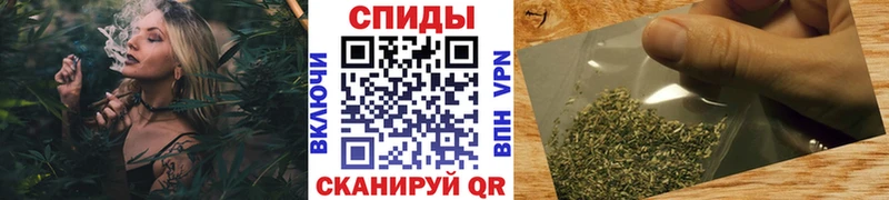 БУТИРАТ BDO  Пудож 