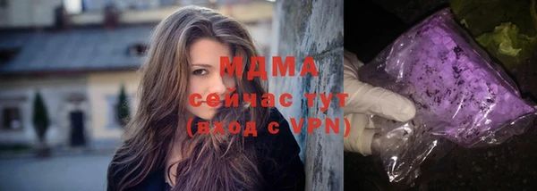 бошки Пересвет