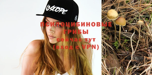бошки Пересвет