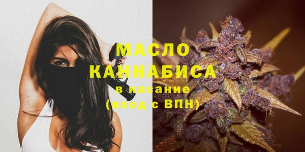 бошки Пересвет