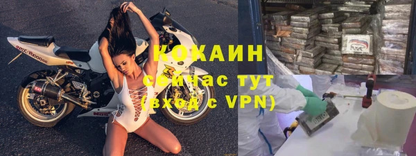 бошки Пересвет