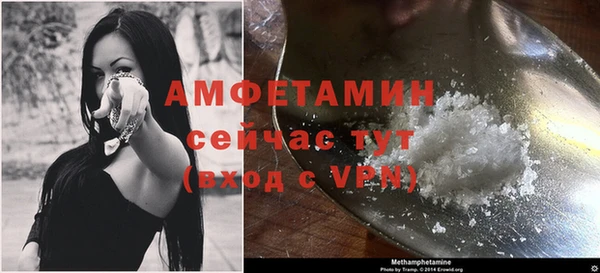 бошки Пересвет