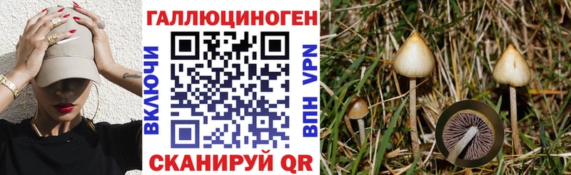 Галлюциногенные грибы мицелий  где найти наркотики  Пудож 